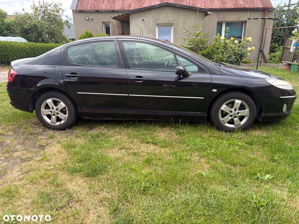 Peugeot 407 - 5