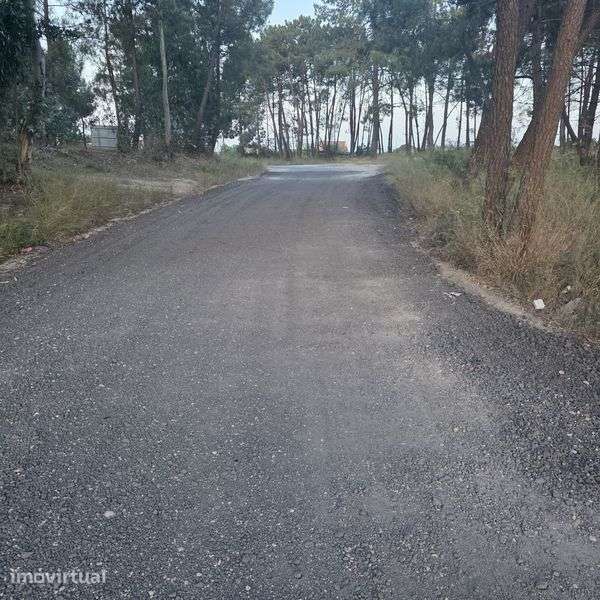 Terreno ideal para uma vida tranquila  em Fernão Ferro - Grande imagem: 4/11