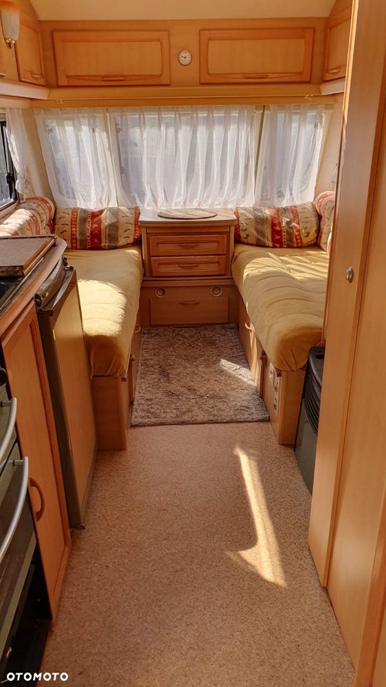 Coachman Amara - 6