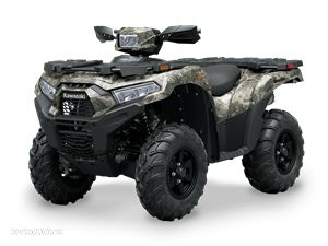 Kawasaki Brute Force - 3