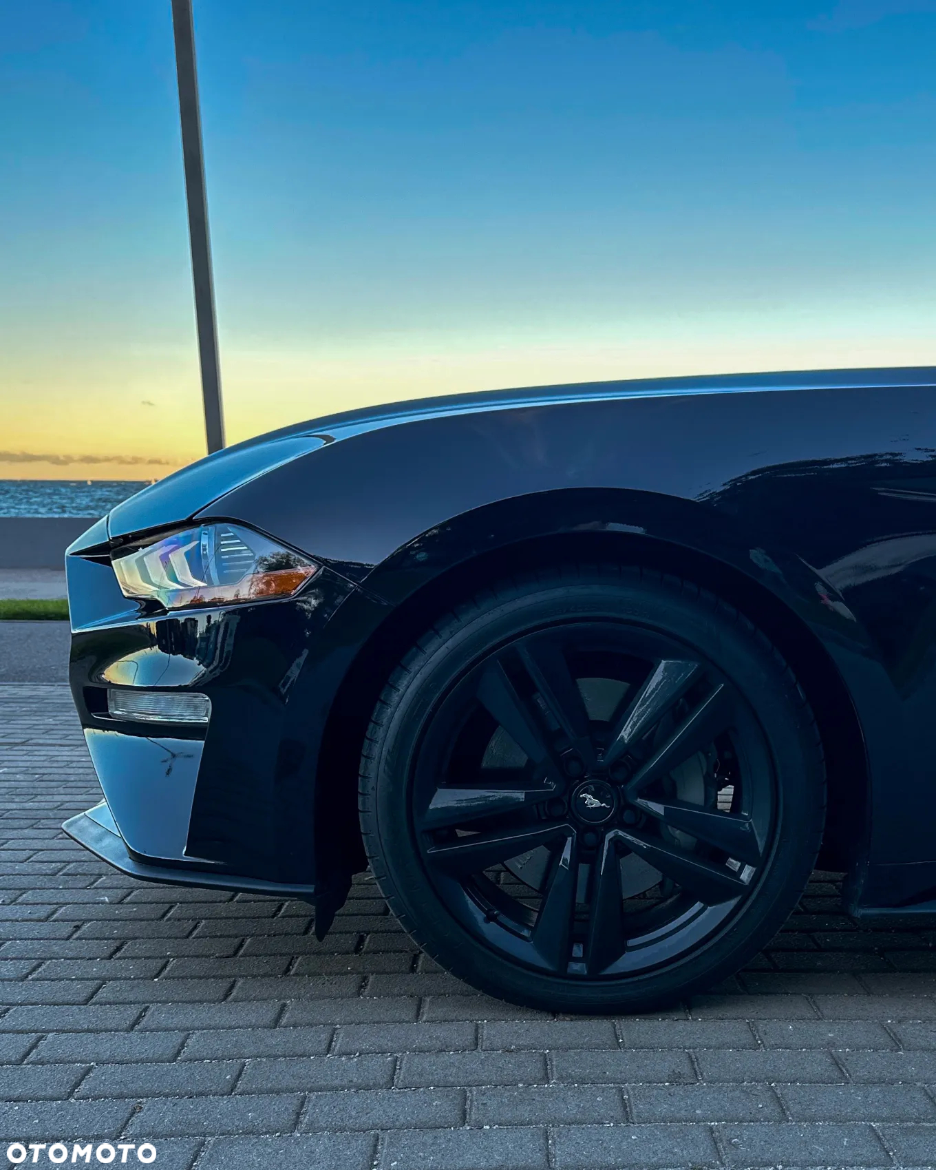 Ford Mustang Fastback 5.0 Ti-VCT V8 Dark Horse - 12
