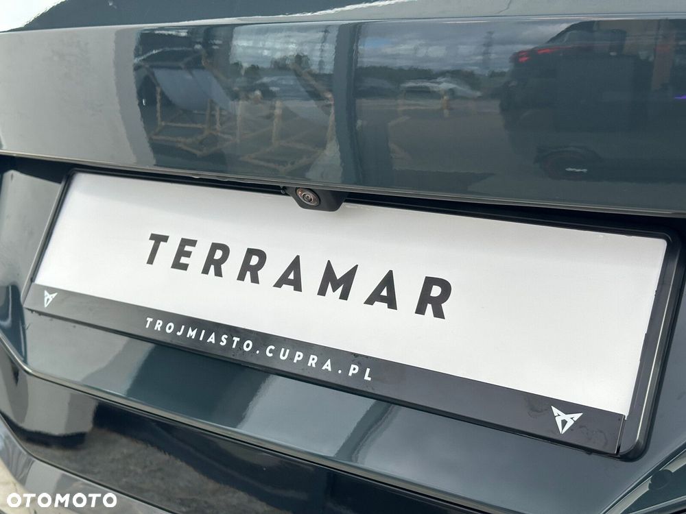 Cupra Terramar 2.0 TSI 4Drive DSG - 12