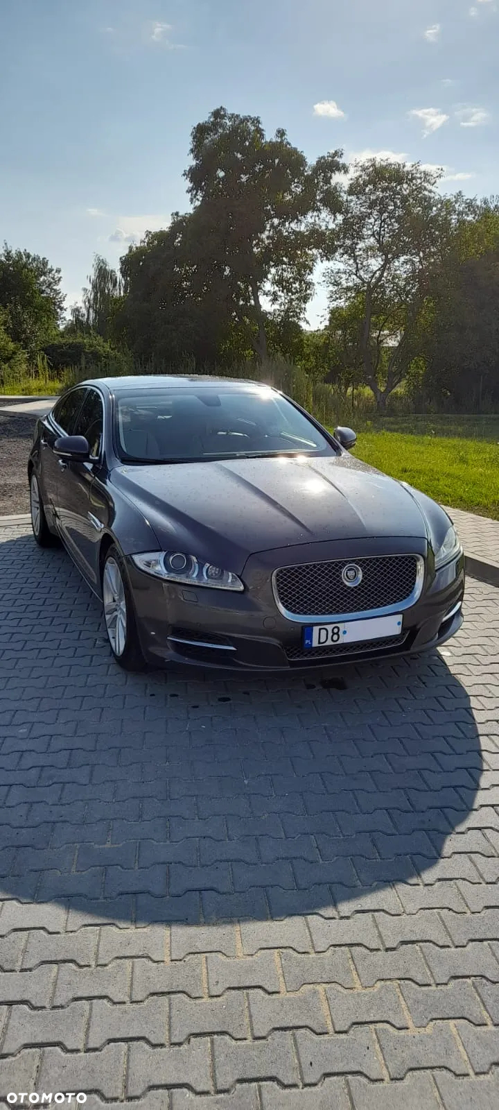 Jaguar XJ 3.0 D V6 Portfolio - 8