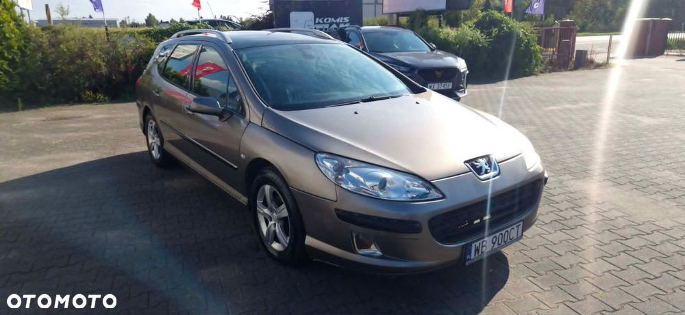 Peugeot 407 - 4