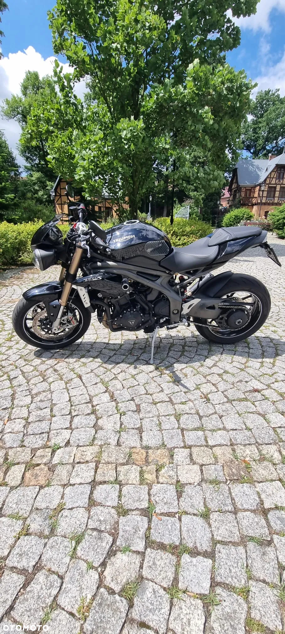 Triumph Speed Triple - 4