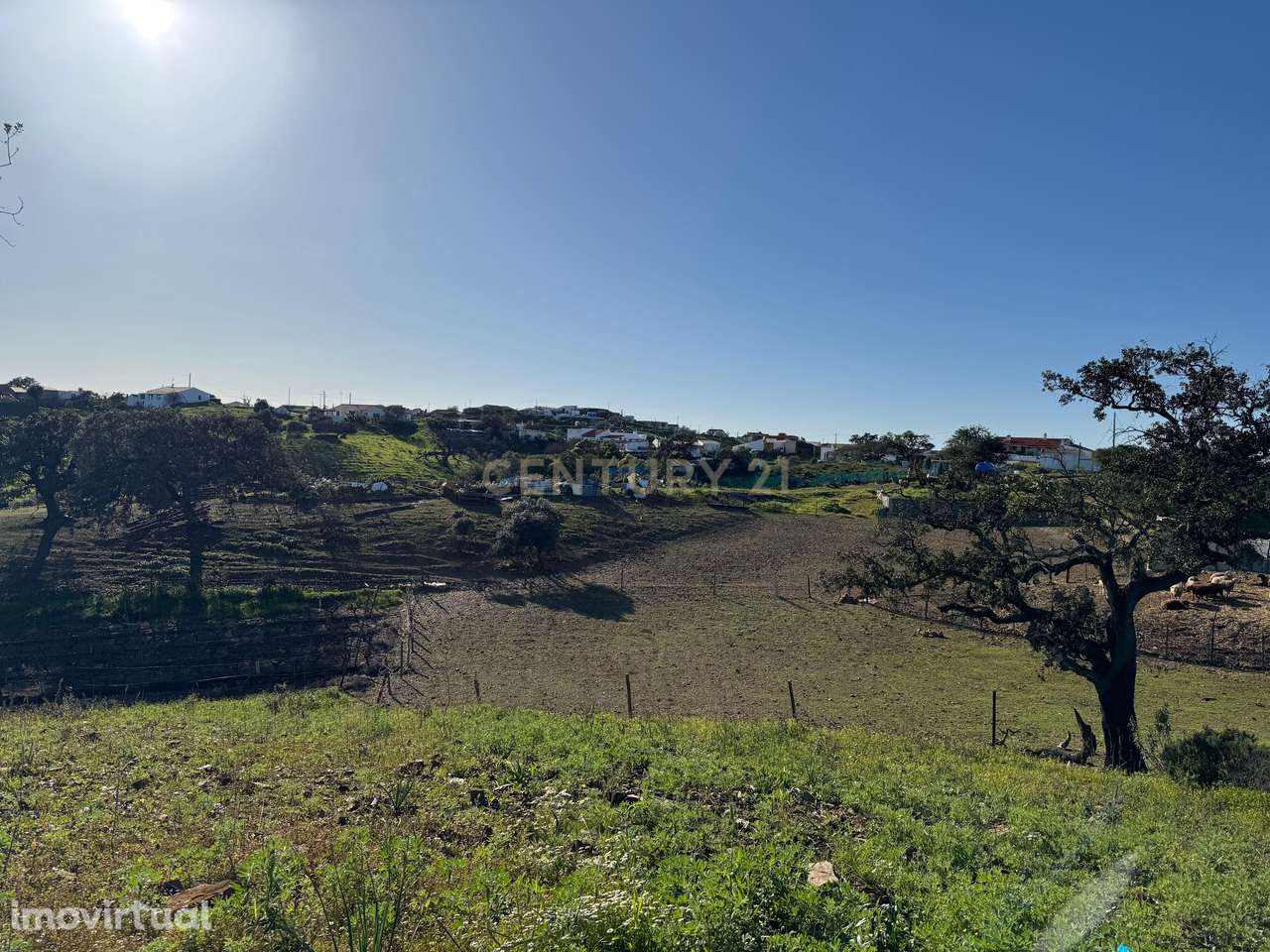 Terreno Rústico | Castro Marim - Grande imagem: 5/7