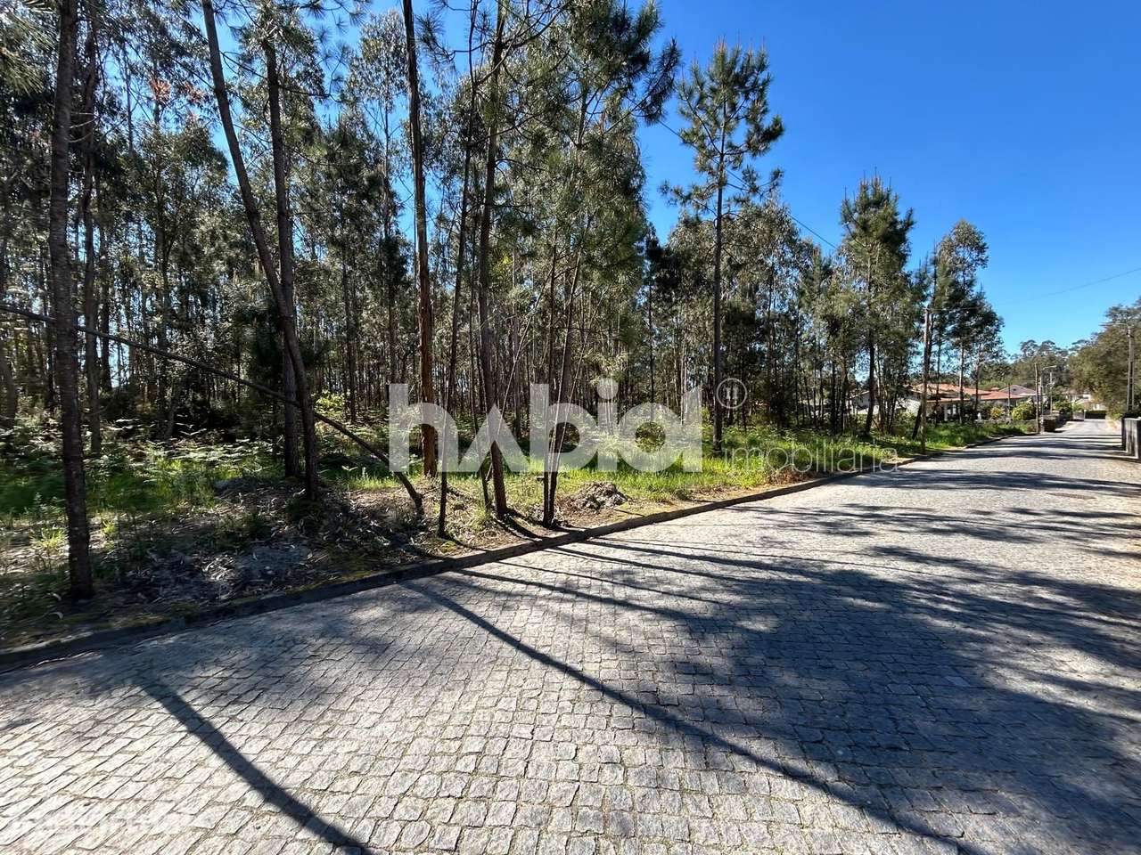 Terreno para construção com PIP em Alvelos, Barcelos - Grande imagem: 3/6