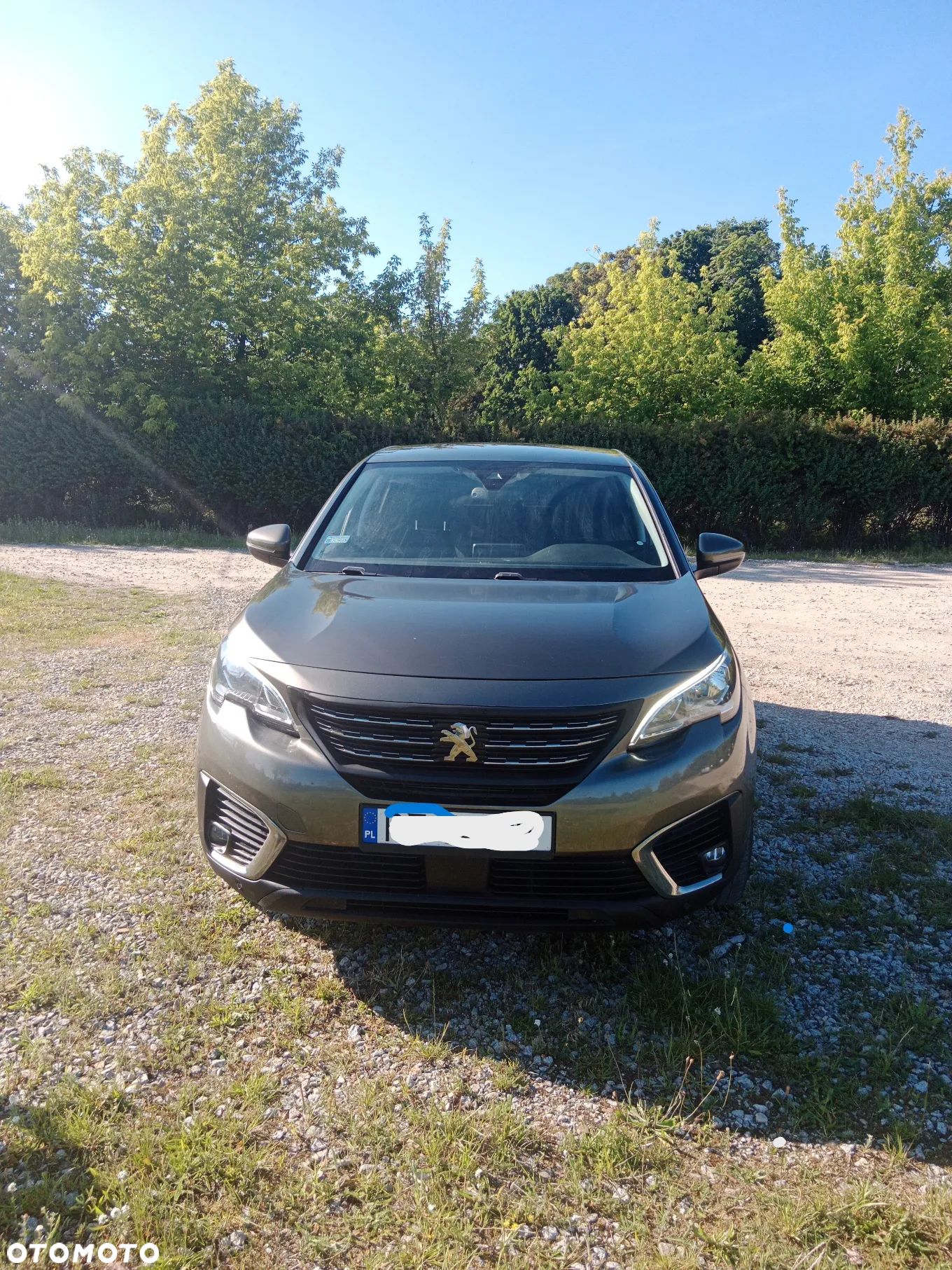 Peugeot 3008 1.5 BlueHDi Active S&S - 1