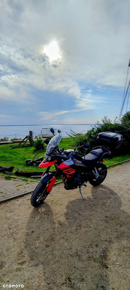 Triumph Tiger - 4