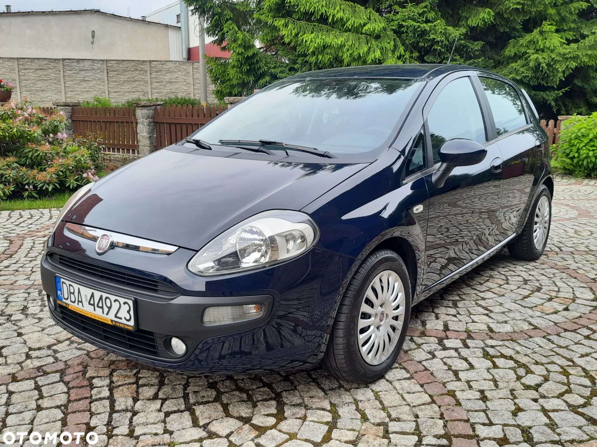 Fiat Punto Evo 1.2 8V Mylife - 1