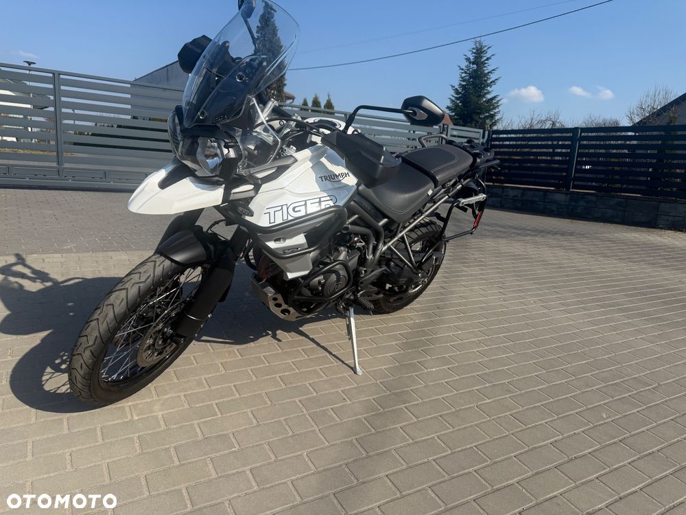 Triumph Tiger - 15
