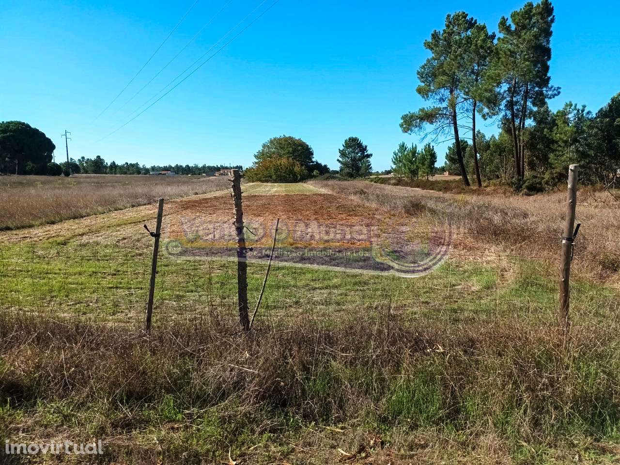 Terreno em Marinhais (M606) - Grande imagem: 2/3