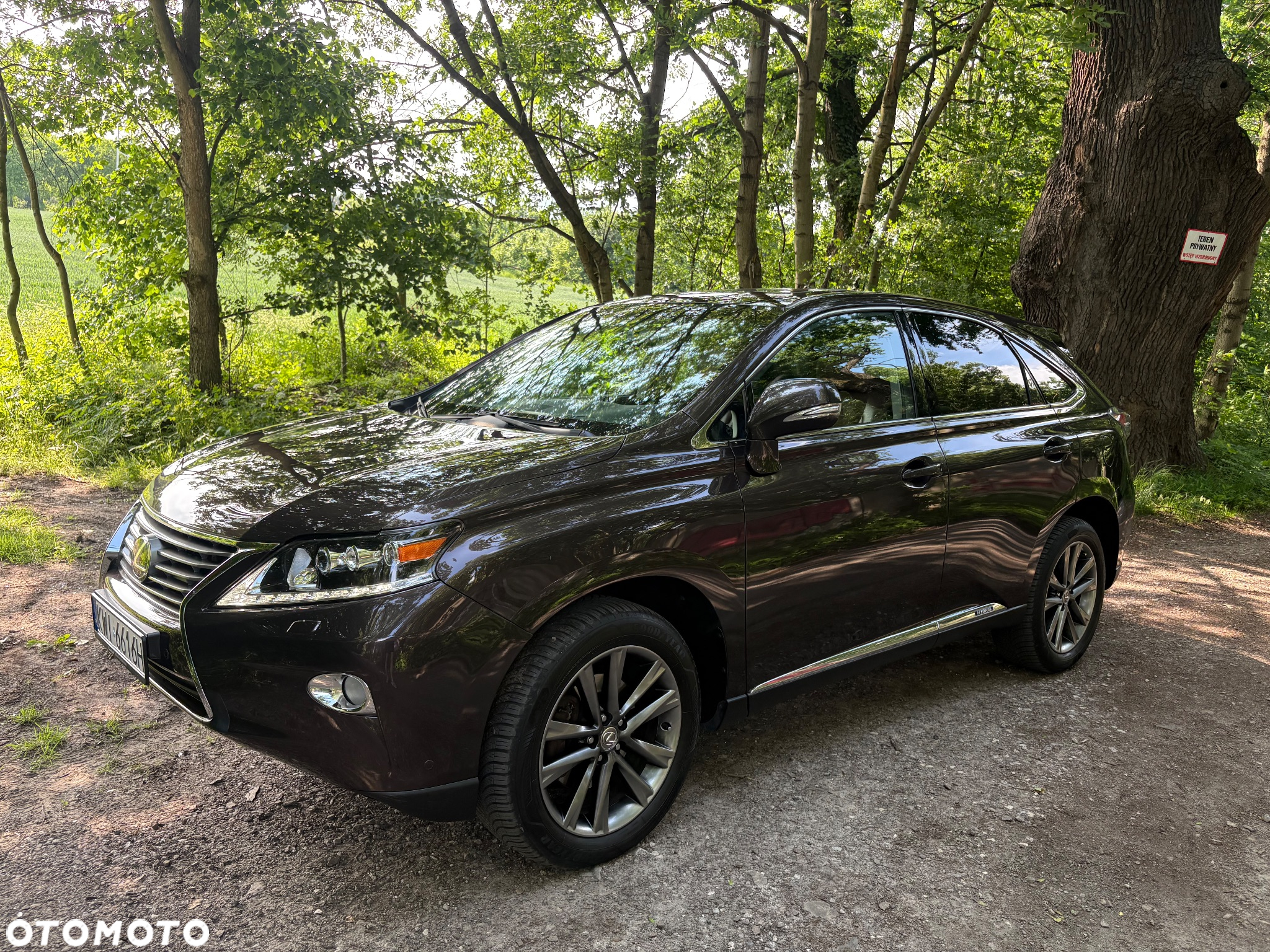 Lexus RX - 10