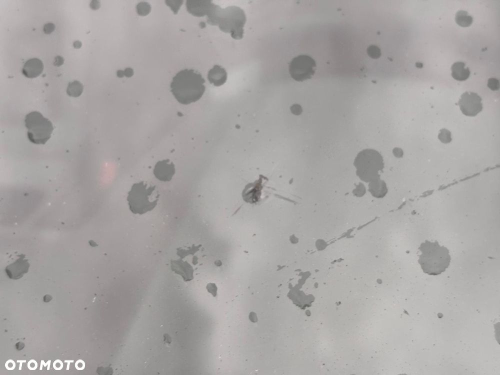 Skoda Fabia 1.4 TDI Active - 12