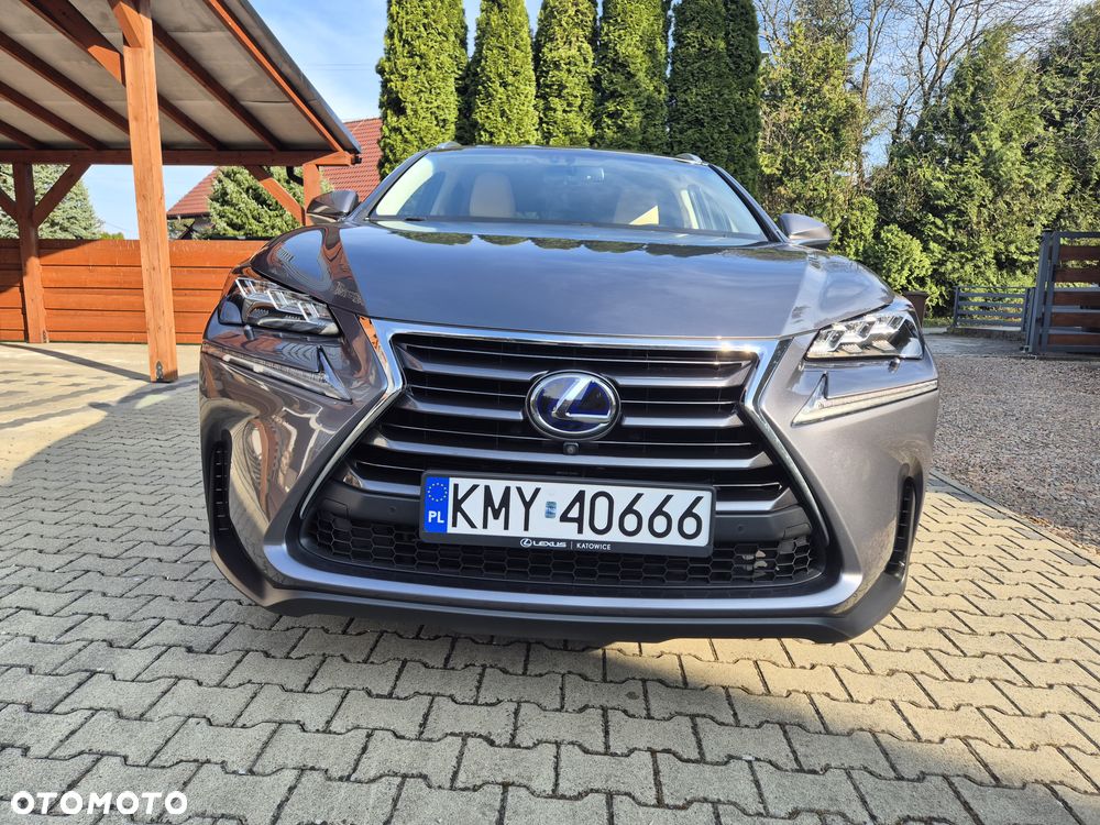 Lexus NX 300h Prestige AWD - 11