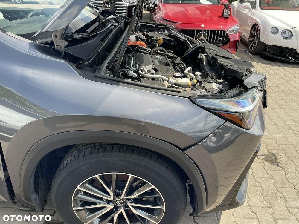 Lexus NX 450h+ E-FOUR Business - 5