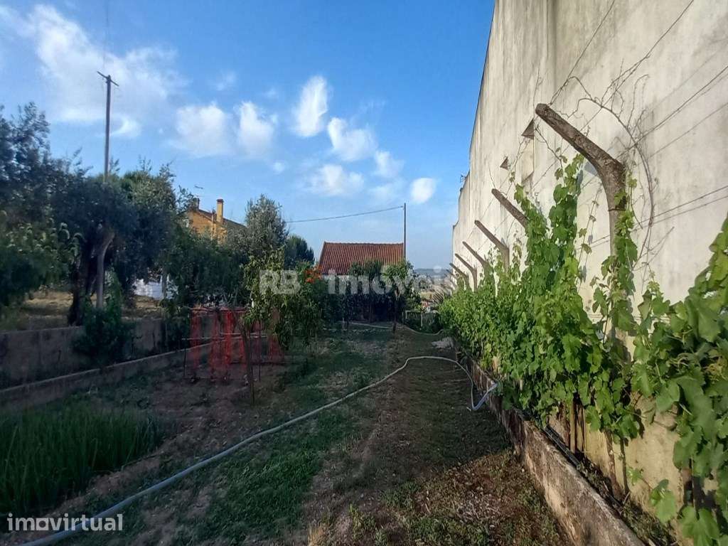 Terreno Urbanizável c/ 1.720 m², Furo, Luz, Barracão e Árvores de F... - Grande imagem: 3/46