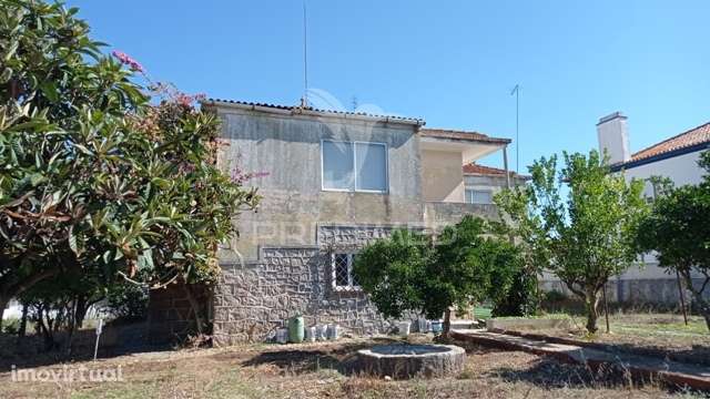 Casa Apalaçada, Avis - Grande imagem: 2/26