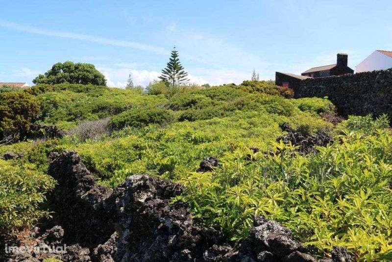 Terreno Cais Mourato - Ilha do Pico - Grande imagem: 4/4