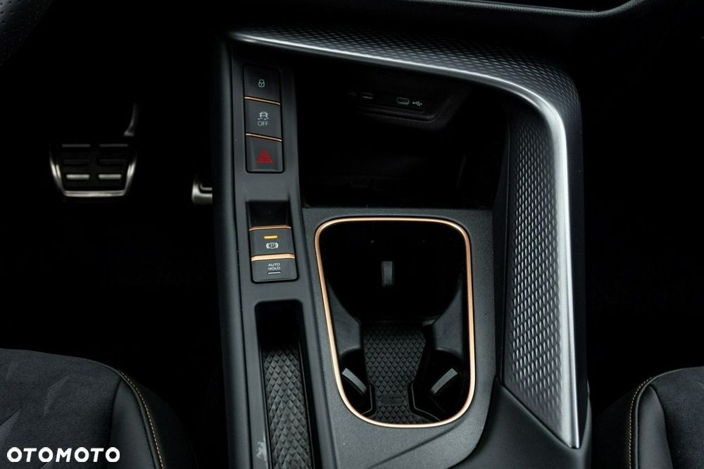 Cupra Terramar - 24
