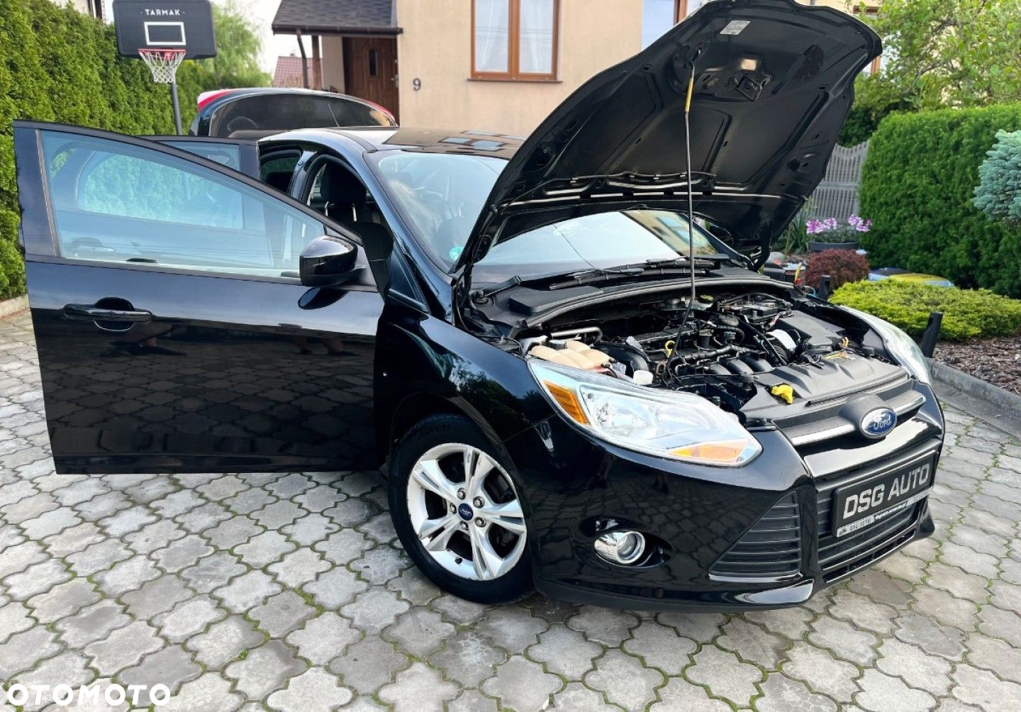 Ford Focus - 16