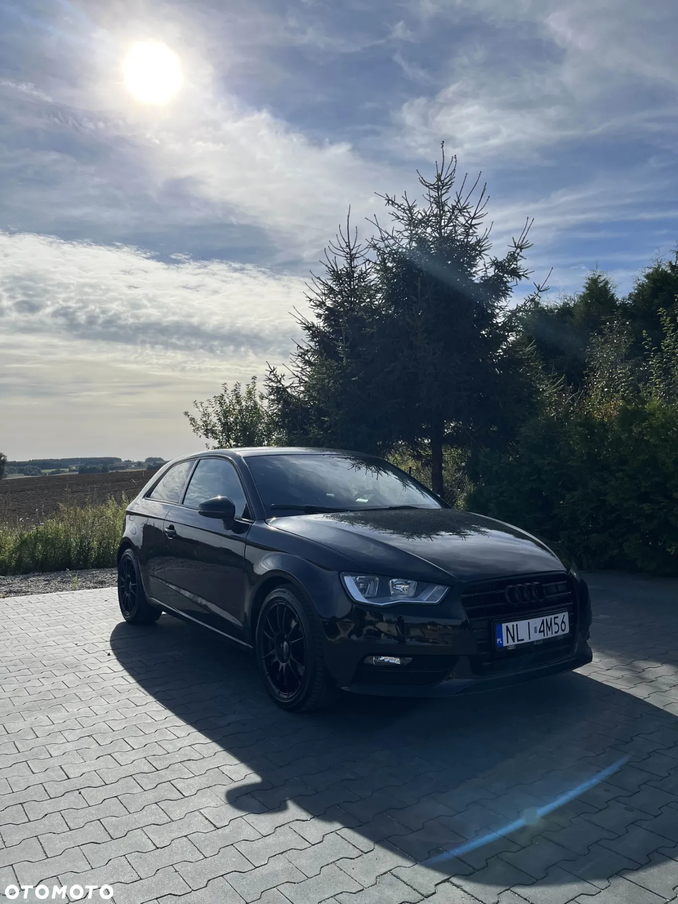 Audi A3 1.6 TDI Ambition - 2