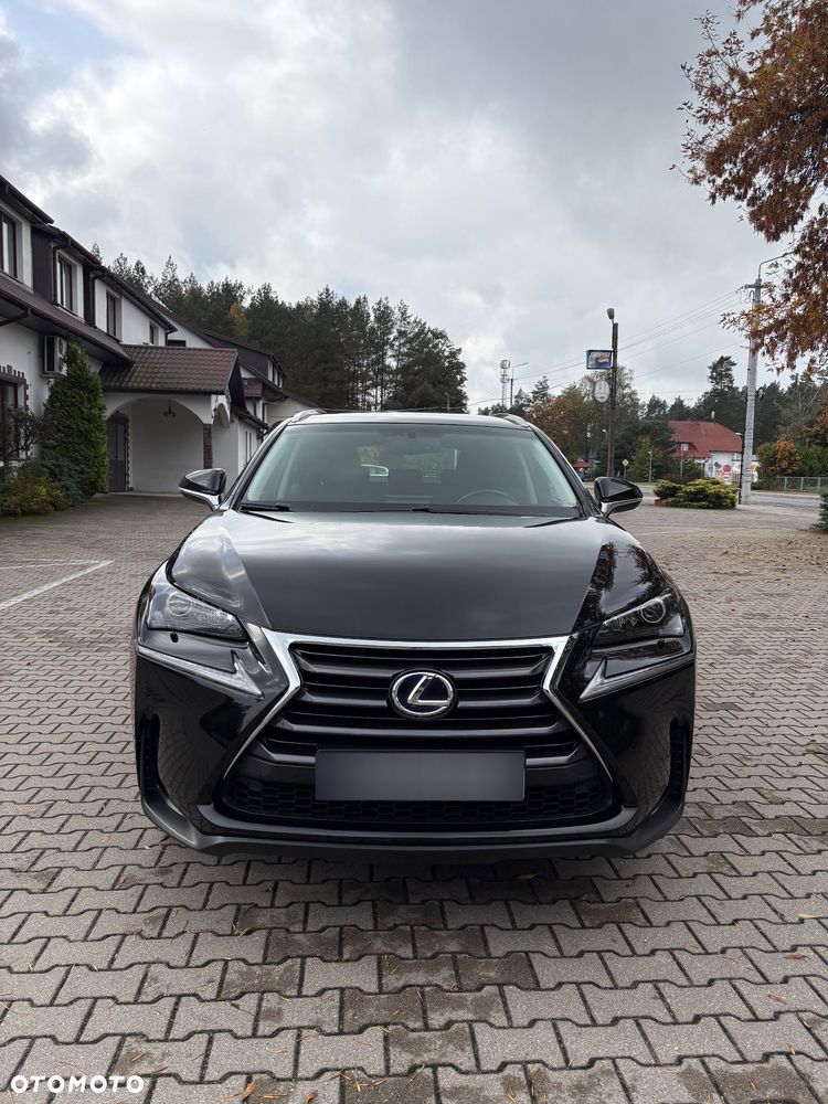 Lexus Nx 2016 photo 5
