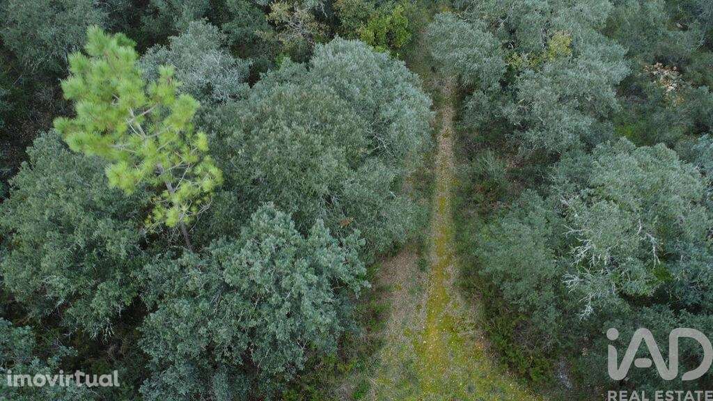 Terreno em Areias e Pias de 1080,00 m2 - Grande imagem: 5/21