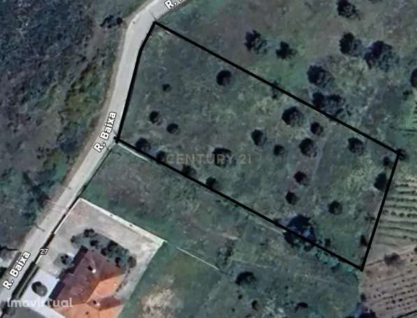 Terreno de 2910 m2 frente a estrada - Grande imagem: 3/10