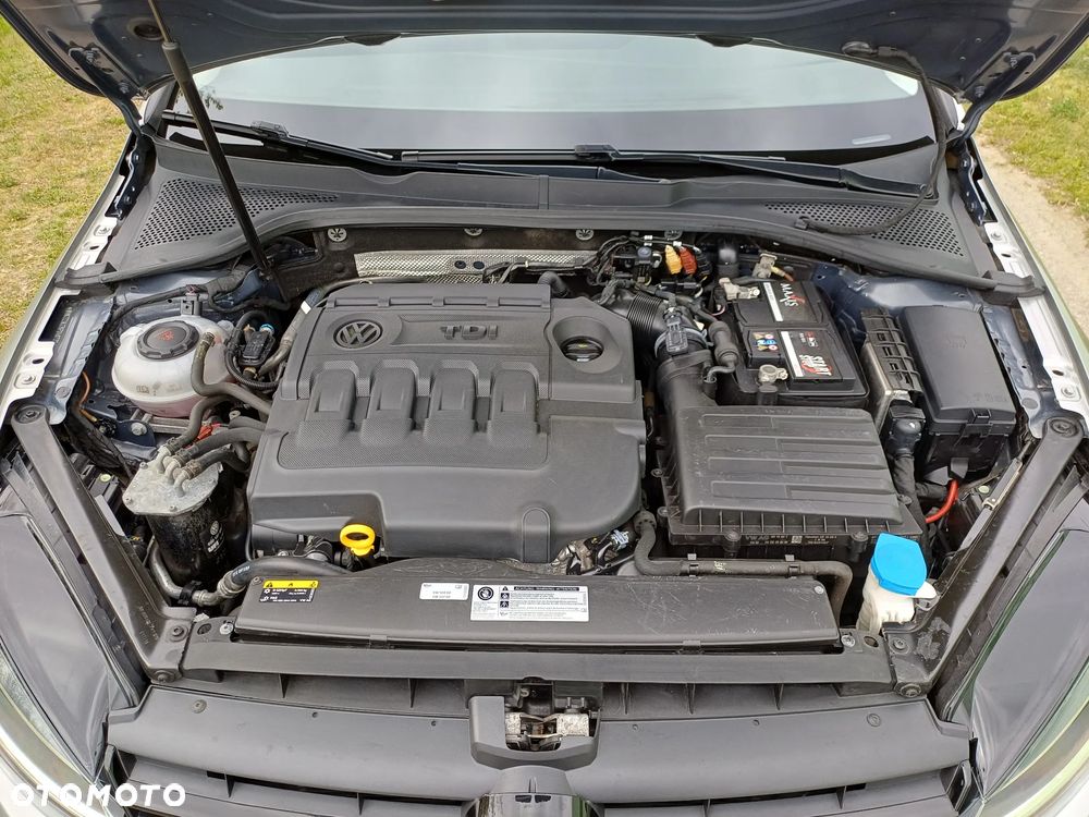 Volkswagen Golf - 35