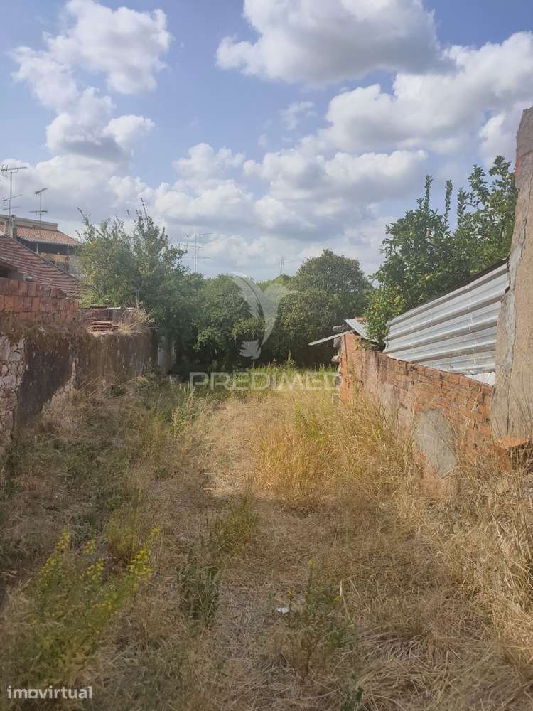 Terreno - Amiais de Baixo, Santarém - Grande imagem: 5/10