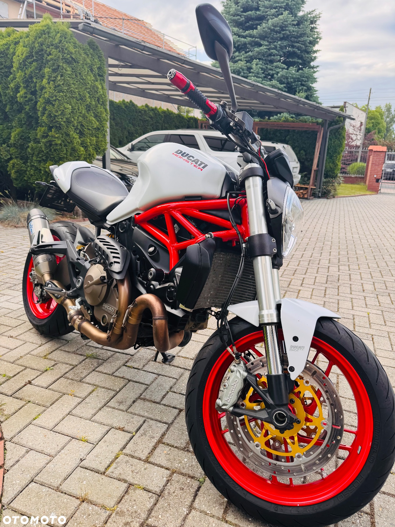 Ducati Monster - 5