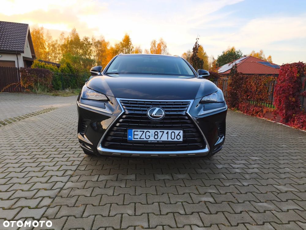 Lexus Nx 2018 photo 4