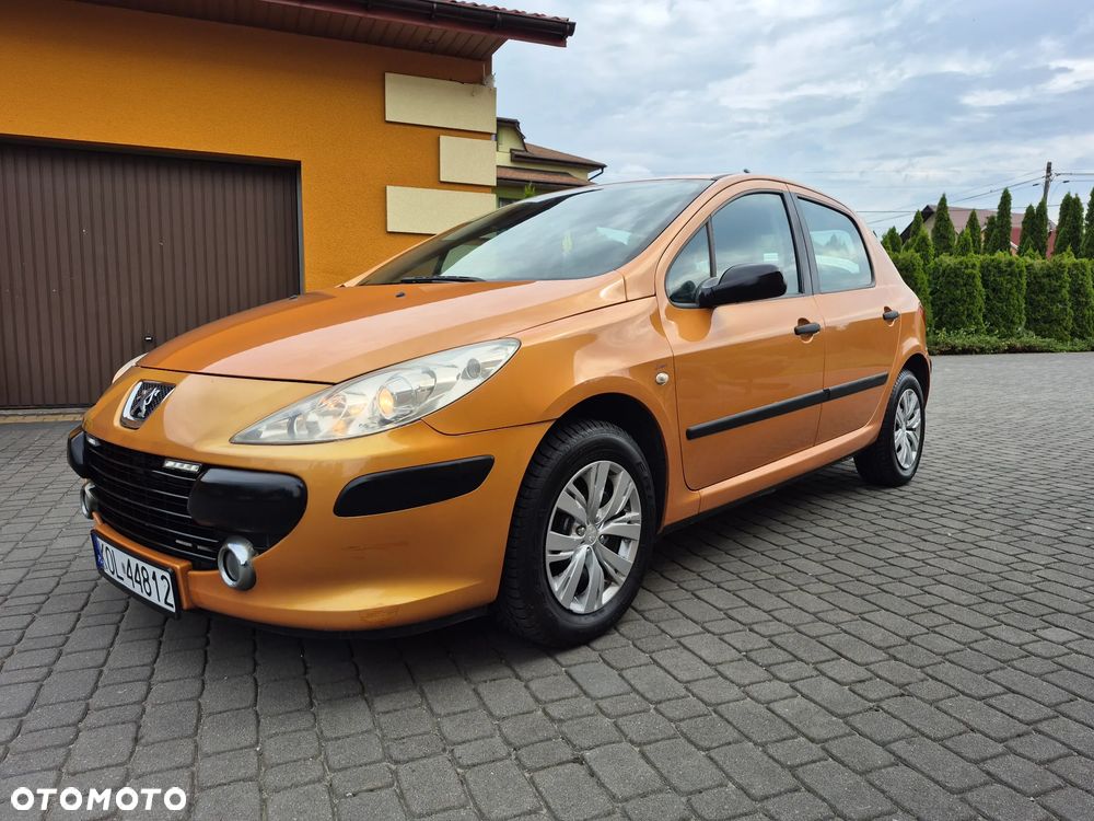 Peugeot 307 1.4 Trendy - 15