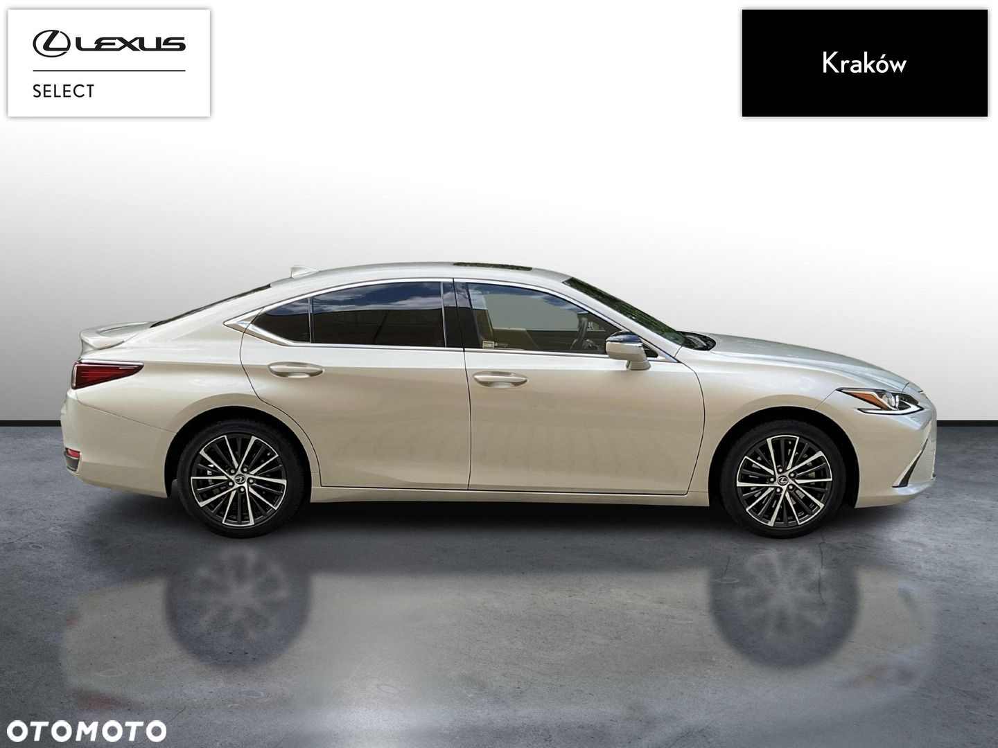 Lexus ES 300h Business Edition - 6