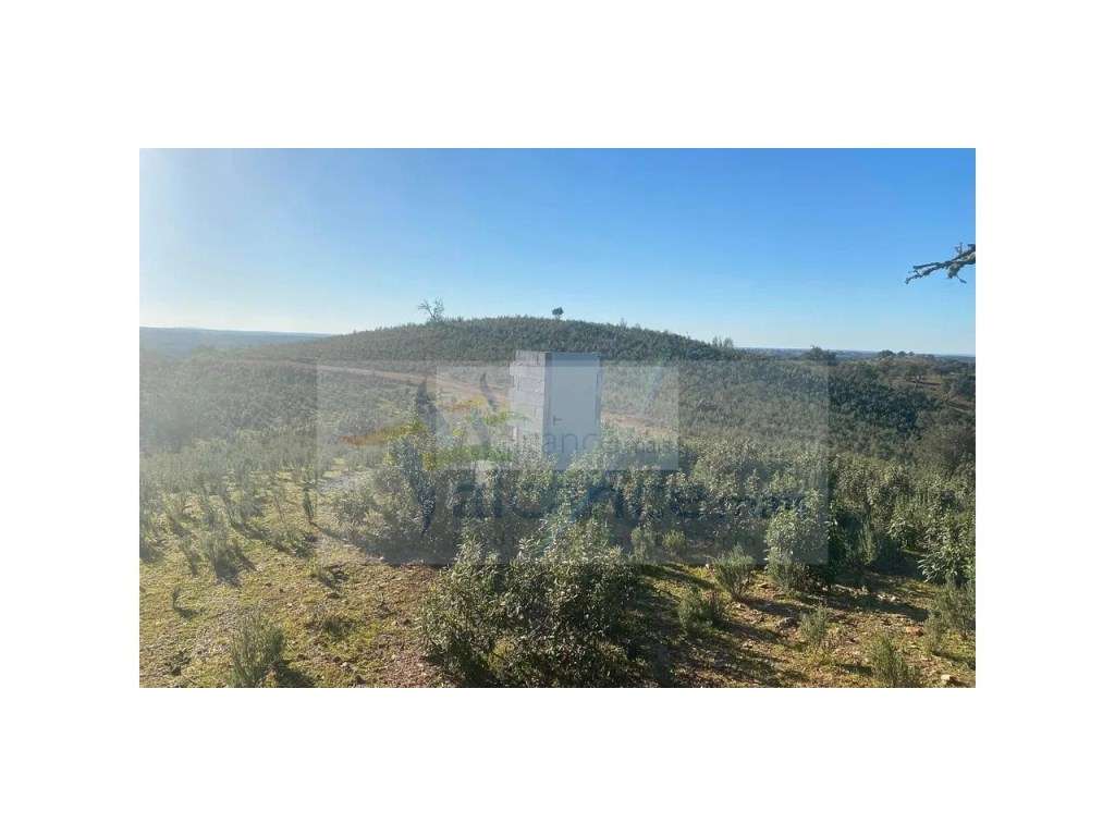 Propriedade em Santa Iria/Serpa - Excelente oportunidade para quem ... - Grande imagem: 2/15