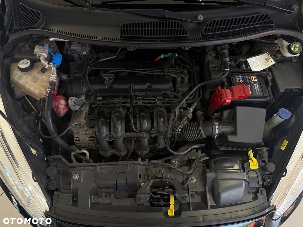 Ford Fiesta - 11