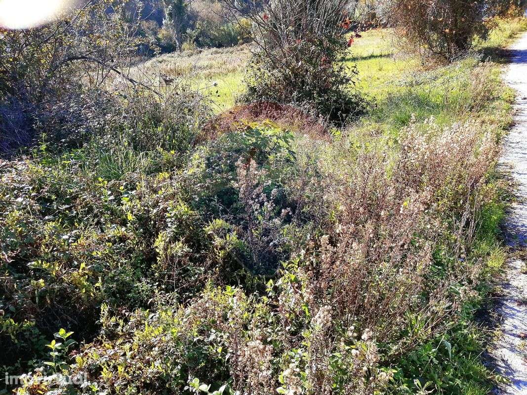 Terreno  para venda - Grande imagem: 2/6