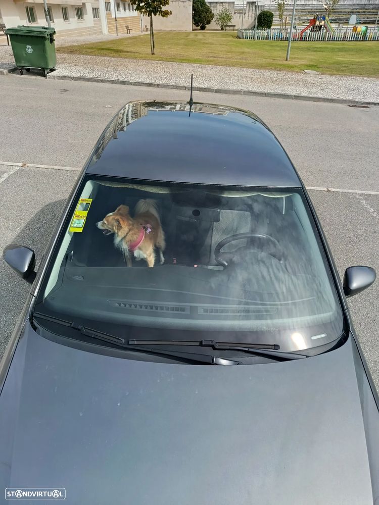VW Polo - 16