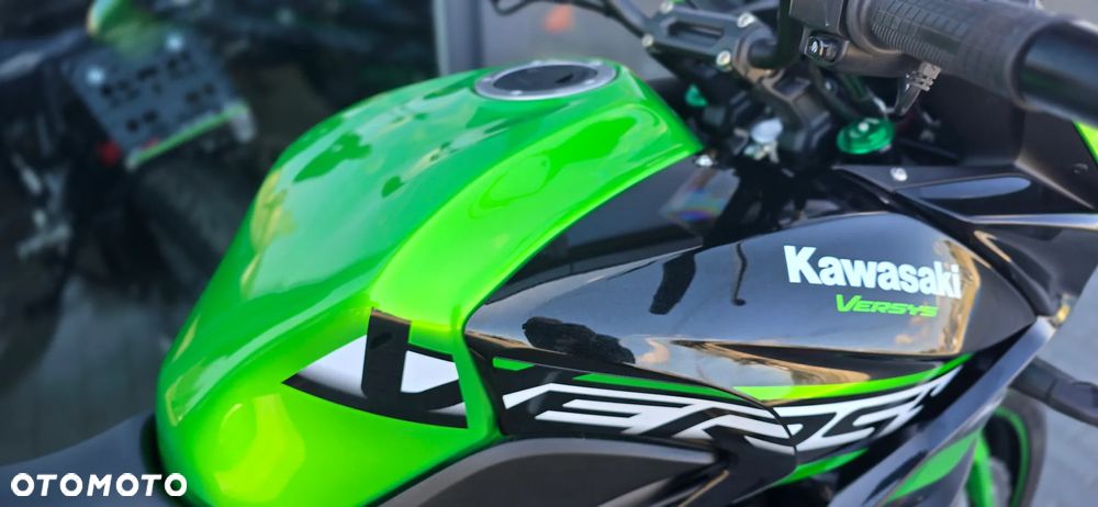 Kawasaki Versys 650 - 14
