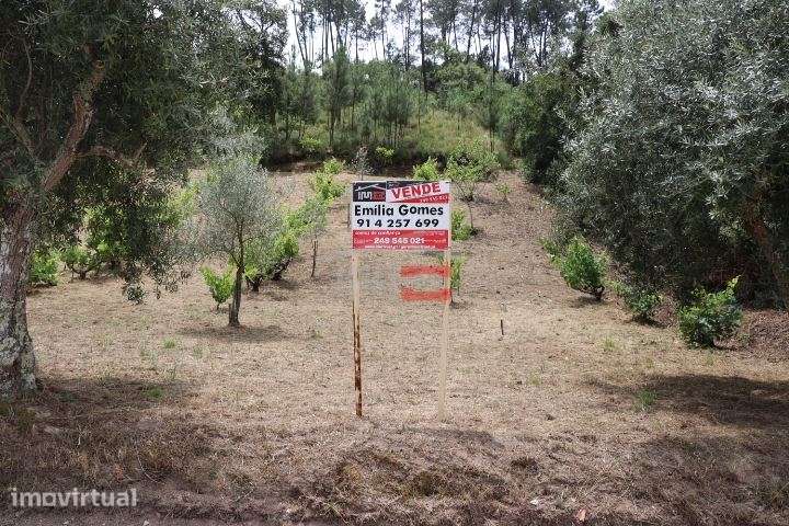 Terreno - Grande imagem: 3/6