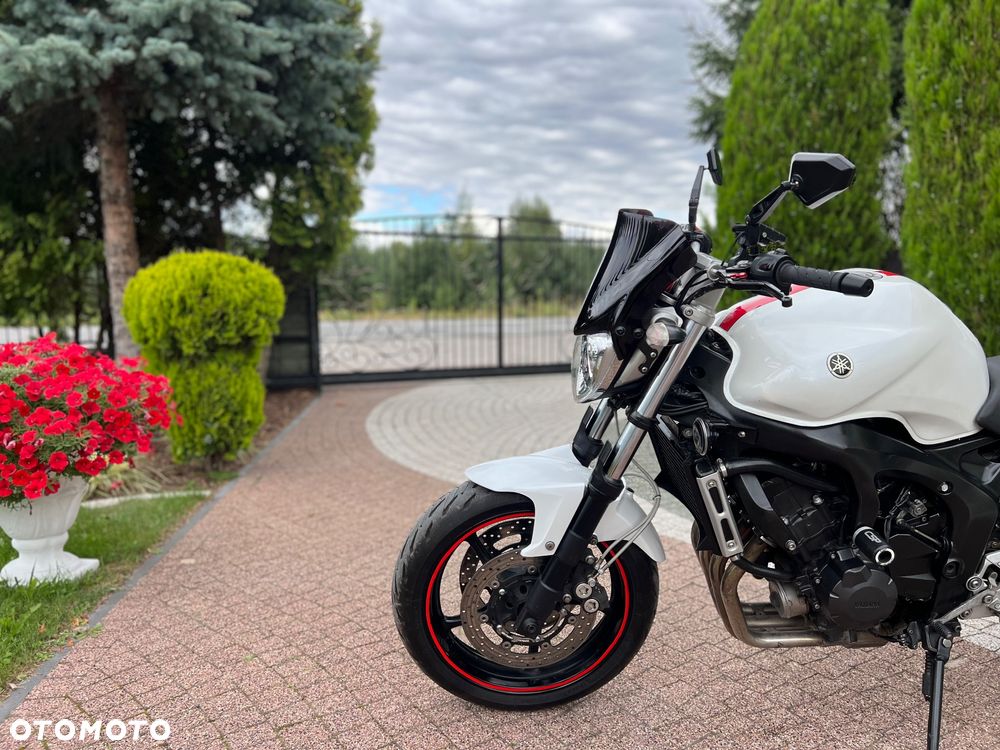Yamaha FZ6 - 25