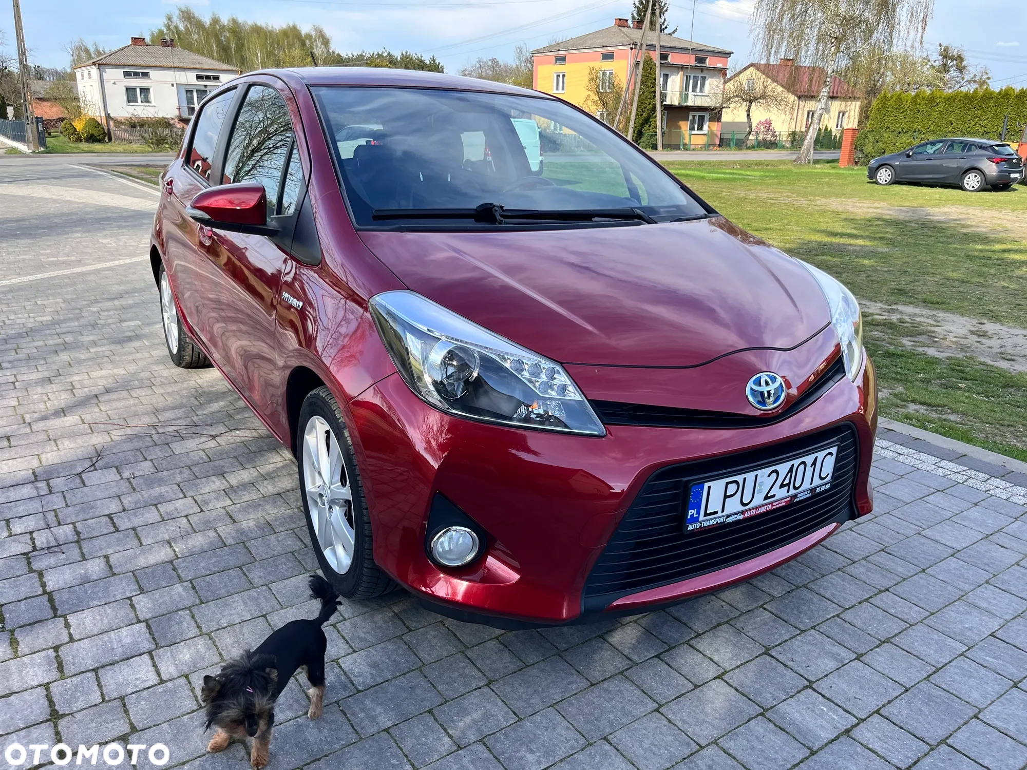 Toyota Yaris Hybrid 100 Dynamic - 5