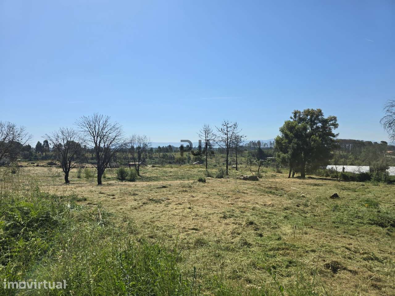 Terreno para construção em Mangualde - Grande imagem: 2/5
