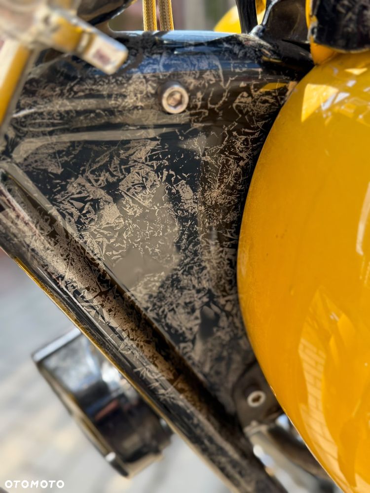 Harley-Davidson Softail Custom - 16