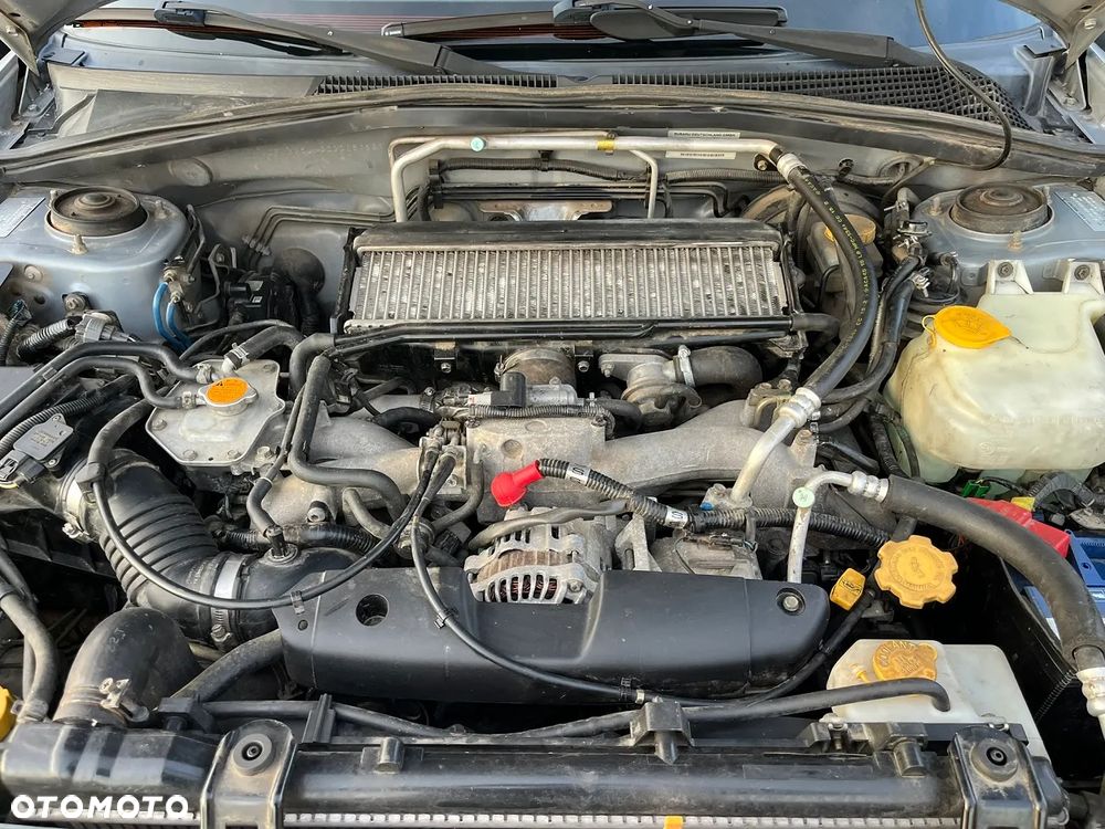 Subaru Forester 2.0 XT Turbo - 19