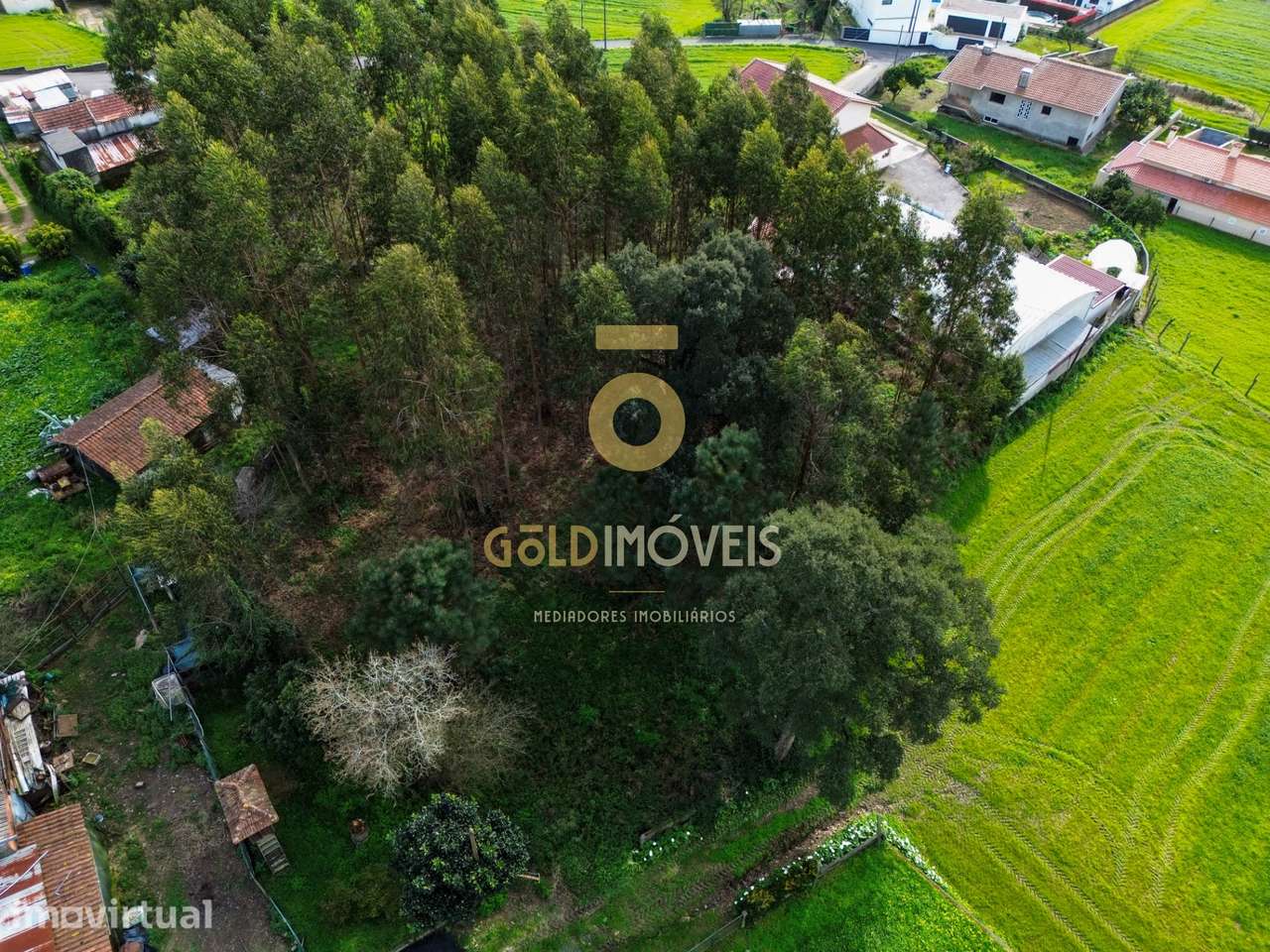Terreno Rústico  Venda em São Martinho da Gândara,Oliveira de Azeméis - Grande imagem: 3/16