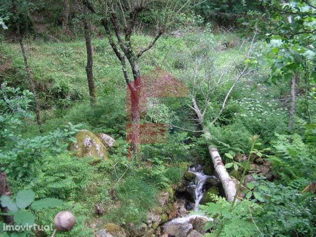 Terreno, Valdreu - Grande imagem: 4/14