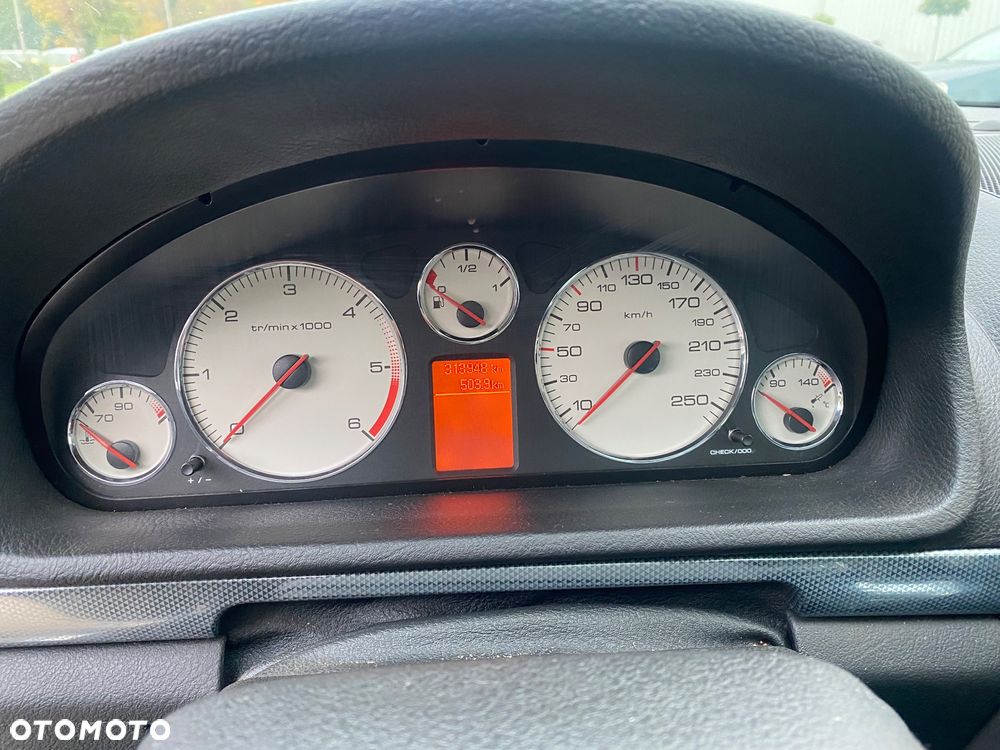 Peugeot 407 - 13