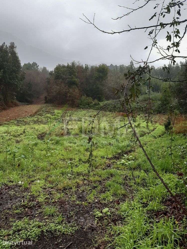 Terreno - Grande imagem: 5/8